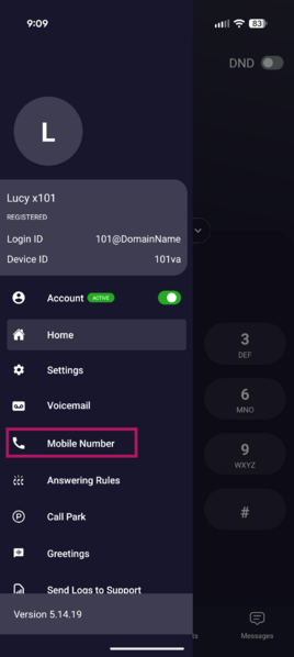 File:Imagevsmobileappcalls5.png